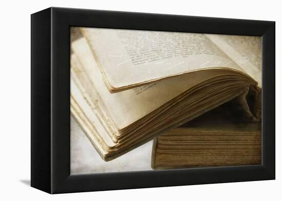 Page Turner-Jessica Rogers-Framed Premier Image Canvas