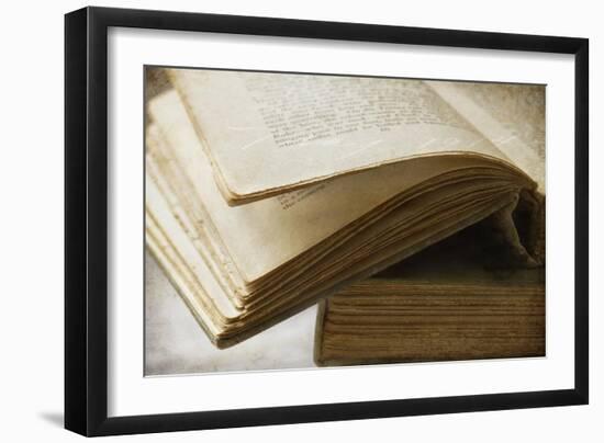 Page Turner-Jessica Rogers-Framed Giclee Print