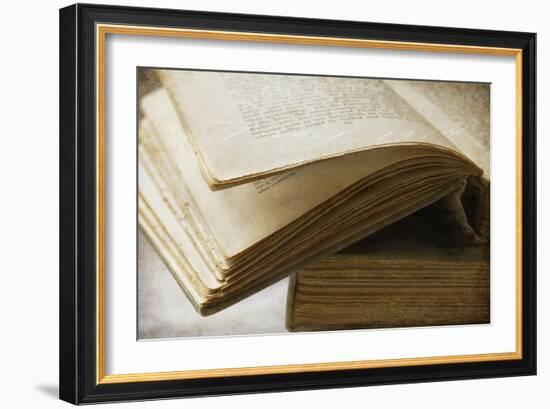 Page Turner-Jessica Rogers-Framed Giclee Print