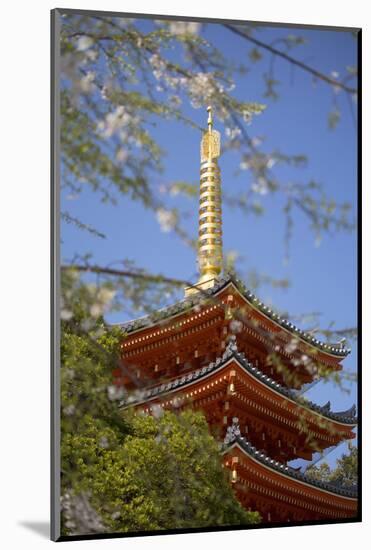 Pagoda at Tocho-Ji Temple, Fukuoka, Kyushu, Japan-Ian Trower-Mounted Photographic Print