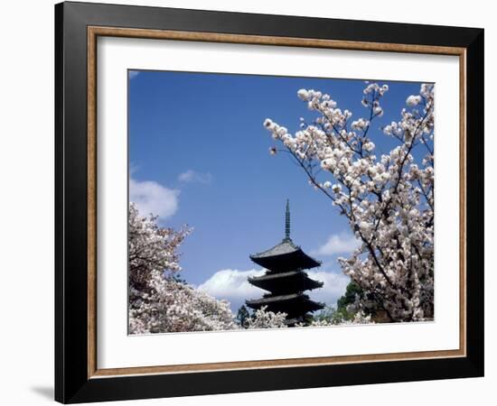 Pagoda & Cherry Blossoms, Kyoto, Japan-null-Framed Photographic Print