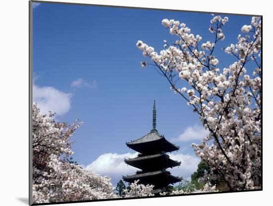 Pagoda & Cherry Blossoms, Kyoto, Japan-null-Mounted Photographic Print