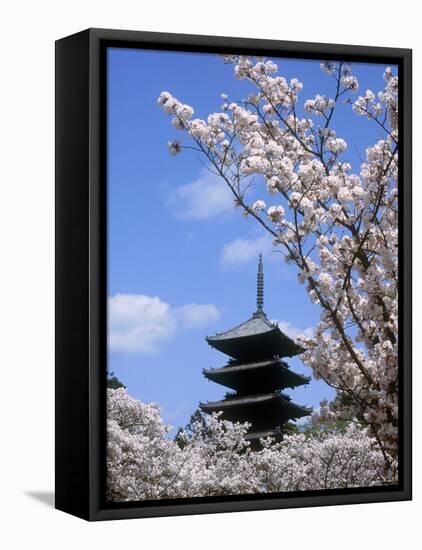 Pagoda of Ninnaji Temple and Cherry Blossoms-null-Framed Premier Image Canvas