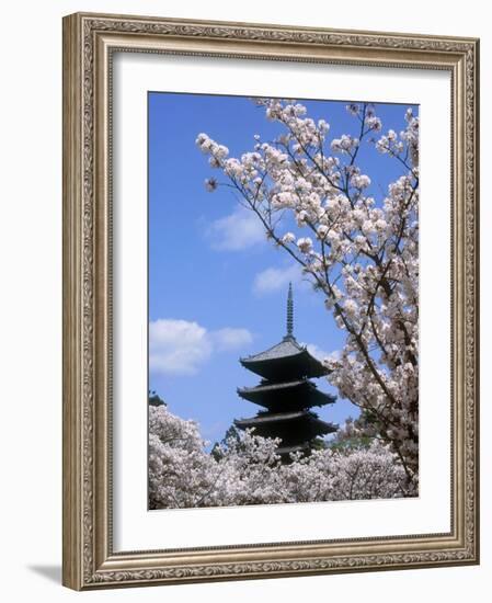 Pagoda of Ninnaji Temple and Cherry Blossoms-null-Framed Photographic Print