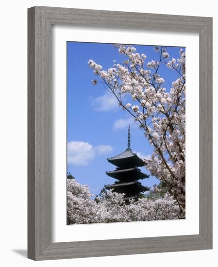 Pagoda of Ninnaji Temple and Cherry Blossoms-null-Framed Photographic Print