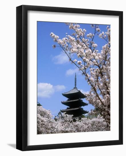 Pagoda of Ninnaji Temple and Cherry Blossoms-null-Framed Photographic Print