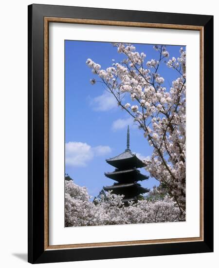 Pagoda of Ninnaji Temple and Cherry Blossoms-null-Framed Photographic Print