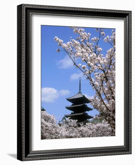 Pagoda of Ninnaji Temple and Cherry Blossoms-null-Framed Photographic Print