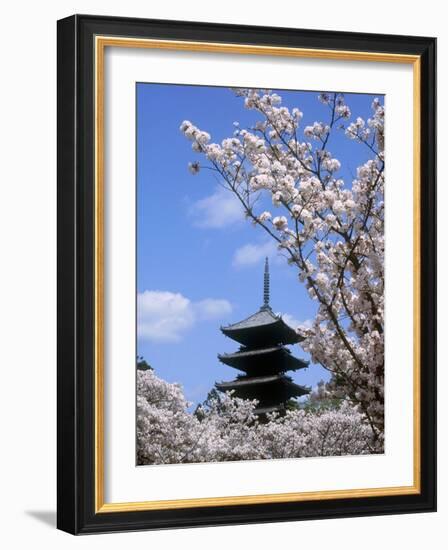 Pagoda of Ninnaji Temple and Cherry Blossoms-null-Framed Photographic Print