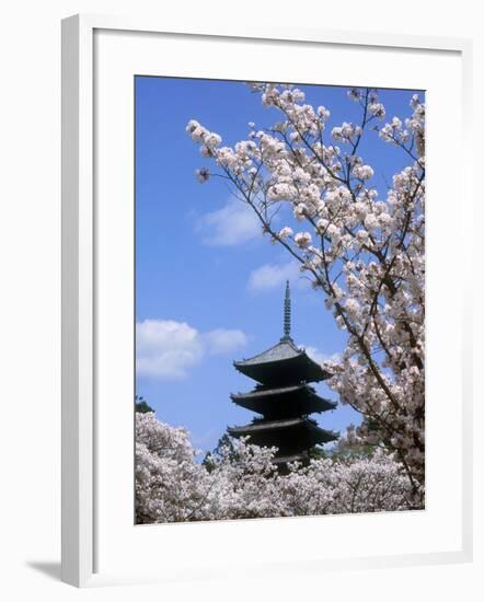 Pagoda of Ninnaji Temple and Cherry Blossoms-null-Framed Photographic Print