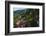 Pagodas and Stairs Leading to Pindaya Cave, Shan State, Myanmar-Keren Su-Framed Photographic Print