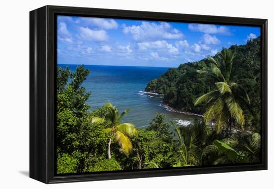 Pagua Bay in Dominica, West Indies, Caribbean, Central America-Michael Runkel-Framed Premier Image Canvas