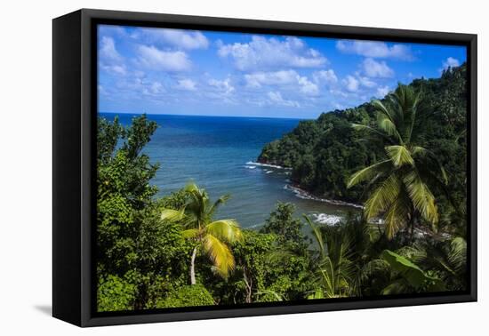 Pagua Bay in Dominica, West Indies, Caribbean, Central America-Michael Runkel-Framed Premier Image Canvas