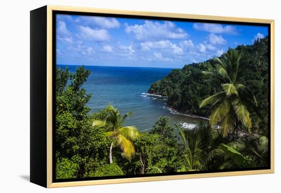 Pagua Bay in Dominica, West Indies, Caribbean, Central America-Michael Runkel-Framed Premier Image Canvas