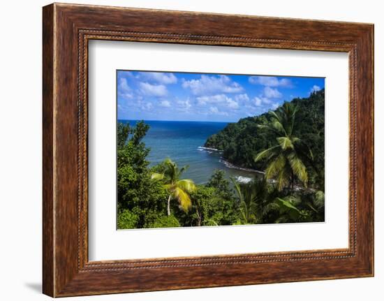 Pagua Bay in Dominica, West Indies, Caribbean, Central America-Michael Runkel-Framed Photographic Print