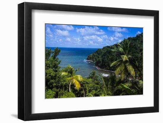 Pagua Bay in Dominica, West Indies, Caribbean, Central America-Michael Runkel-Framed Photographic Print