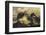 Paine Massif, Torres del Paine National Park, Chile, Patagonia-Adam Jones-Framed Photographic Print