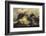 Paine Massif, Torres del Paine National Park, Chile, Patagonia-Adam Jones-Framed Photographic Print