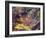 Paint #60-James W Johnson-Framed Giclee Print