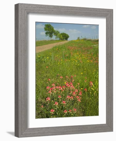 Paint Brush and Dirt Road, Cuero, Texas, USA-Darrell Gulin-Framed Photographic Print
