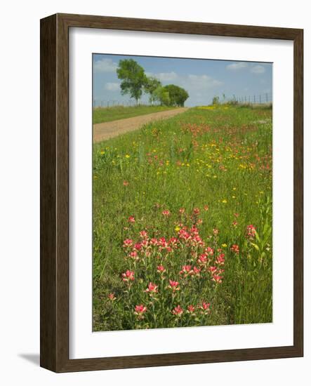 Paint Brush and Dirt Road, Cuero, Texas, USA-Darrell Gulin-Framed Photographic Print