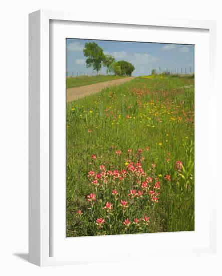 Paint Brush and Dirt Road, Cuero, Texas, USA-Darrell Gulin-Framed Photographic Print