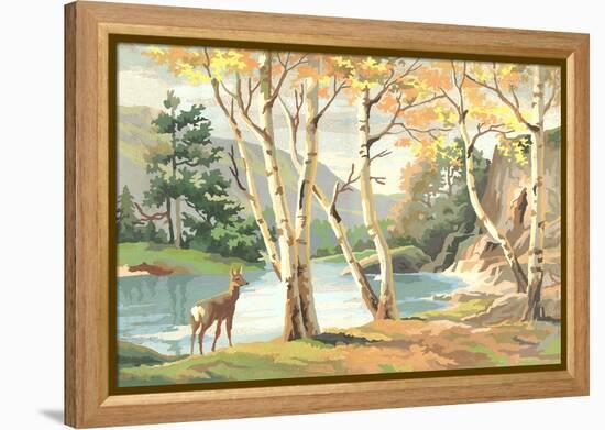 Paint by Numbers, Autumn Scene-null-Framed Stretched Canvas