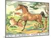 Paint by Numbers, Horse with Dog-Found Image Press-Mounted Giclee Print