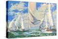 Stretched Canvas Print