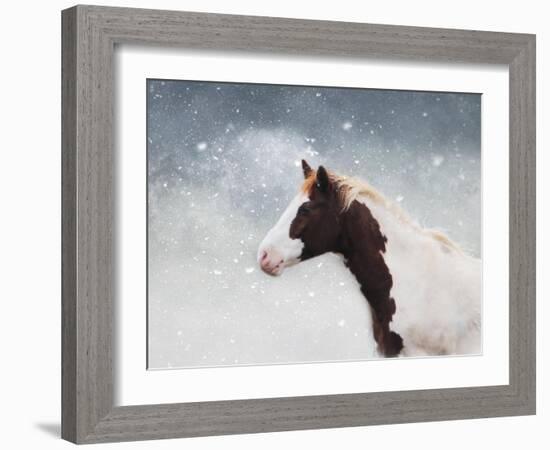 Paint Horse in the Snow-Jai Johnson-Framed Giclee Print