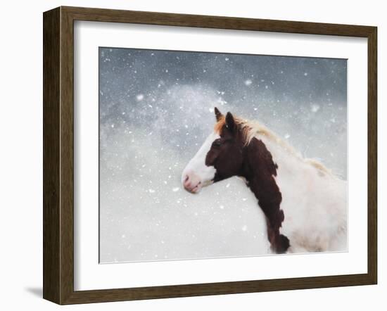 Paint Horse in the Snow-Jai Johnson-Framed Giclee Print