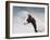 Paint Horse in the Snow-Jai Johnson-Framed Giclee Print