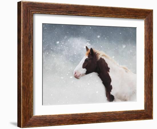 Paint Horse in the Snow-Jai Johnson-Framed Giclee Print