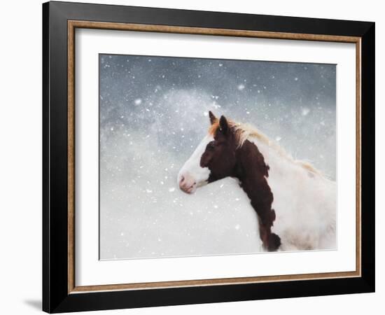 Paint Horse in the Snow-Jai Johnson-Framed Giclee Print