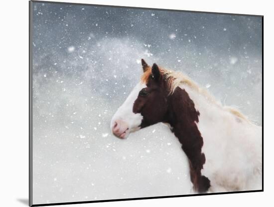 Paint Horse in the Snow-Jai Johnson-Mounted Giclee Print