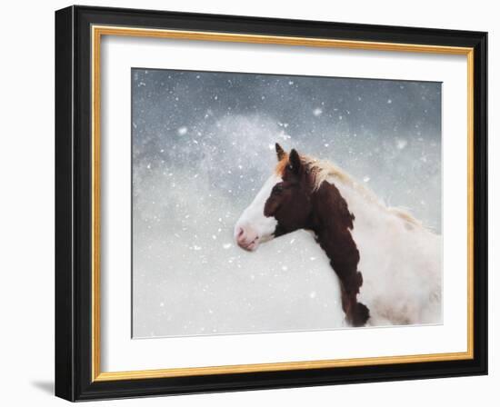 Paint Horse in the Snow-Jai Johnson-Framed Giclee Print