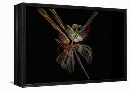 Paint me some light-Heidi Westum-Framed Premier Image Canvas