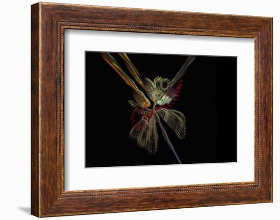 Paint me some light-Heidi Westum-Framed Photographic Print