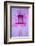 Paint on wall during Holi festival, Rajasthan-Mark MacEwen-Framed Photographic Print