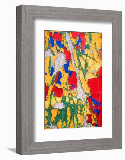 Paint Peeling-Charles Bowman-Framed Photographic Print