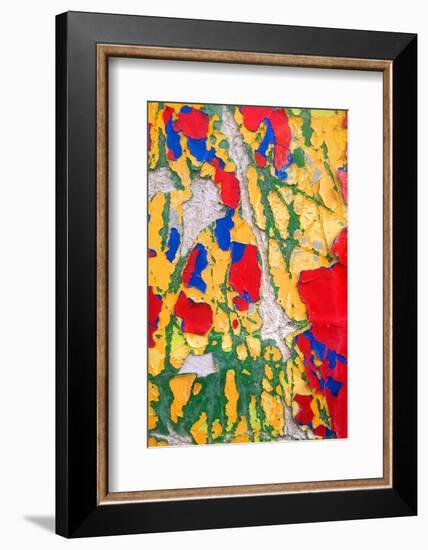 Paint Peeling-Charles Bowman-Framed Photographic Print