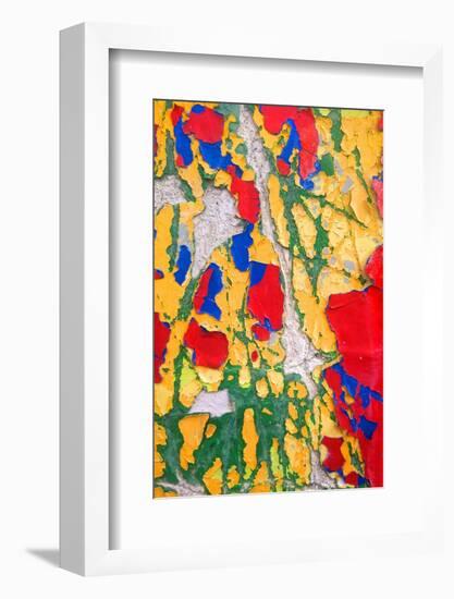 Paint Peeling-Charles Bowman-Framed Photographic Print