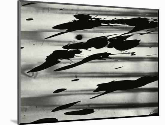 Paint Splatter, Oregon, 1972-Brett Weston-Mounted Photographic Print