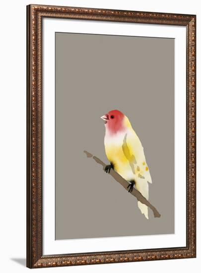 Paintbox Birds - Hope-Kristine Hegre-Framed Giclee Print