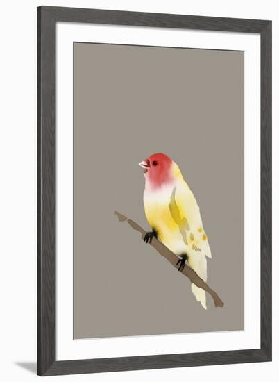 Paintbox Birds - Hope-Kristine Hegre-Framed Giclee Print