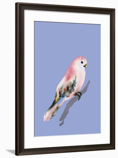 Paintbox Birds - Love-Kristine Hegre-Framed Giclee Print