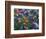 Paintbrush and Bluebonnets, Texas, USA-Dee Ann Pederson-Framed Photographic Print