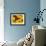 Paintbrush and Yellow Daisies, Box Canyon Creek, Cascades, Washington, USA-Darrell Gulin-Framed Photographic Print displayed on a wall