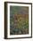 Paintbrush, Bluebonnets, and Bladderpod, Texas, USA-Adam Jones-Framed Photographic Print