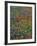 Paintbrush, Bluebonnets, and Bladderpod, Texas, USA-Adam Jones-Framed Photographic Print